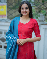 T384 Bindhu - Handloom Kurta Set