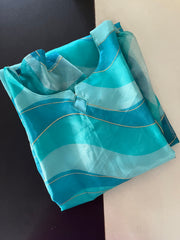 AS046 Organza Kurta