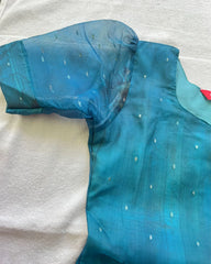 T035 Peacock organza kurta set